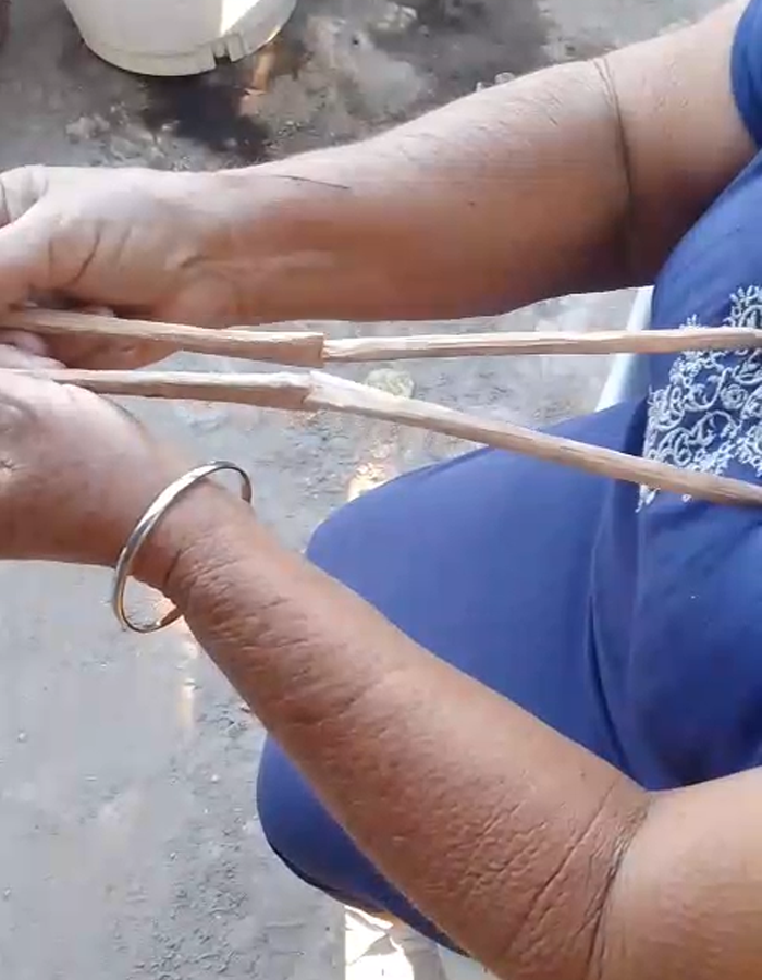 palitos buscadores